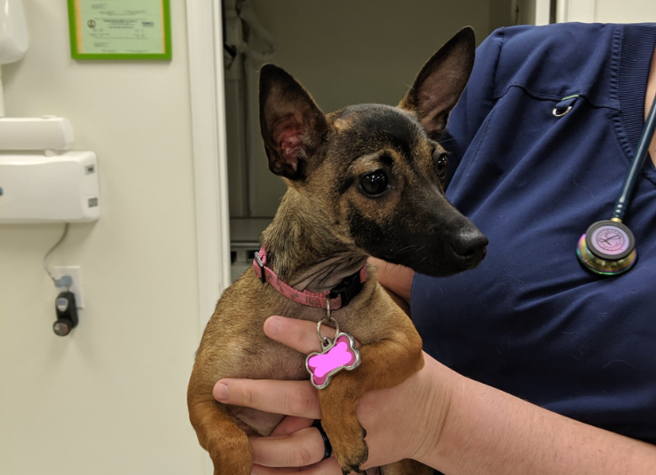 Service Page Images (1)